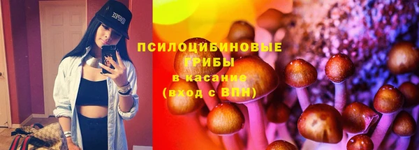 прущая мука Белокуриха