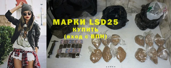 ПСИЛОЦИБИНОВЫЕ ГРИБЫ Беломорск