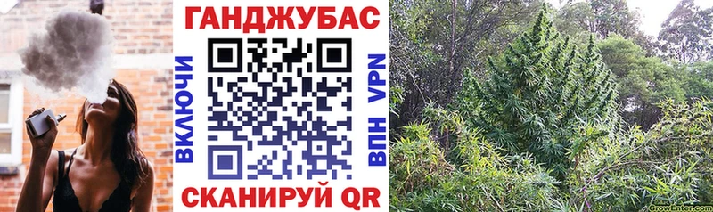 Бошки марихуана марихуана  Вельск 